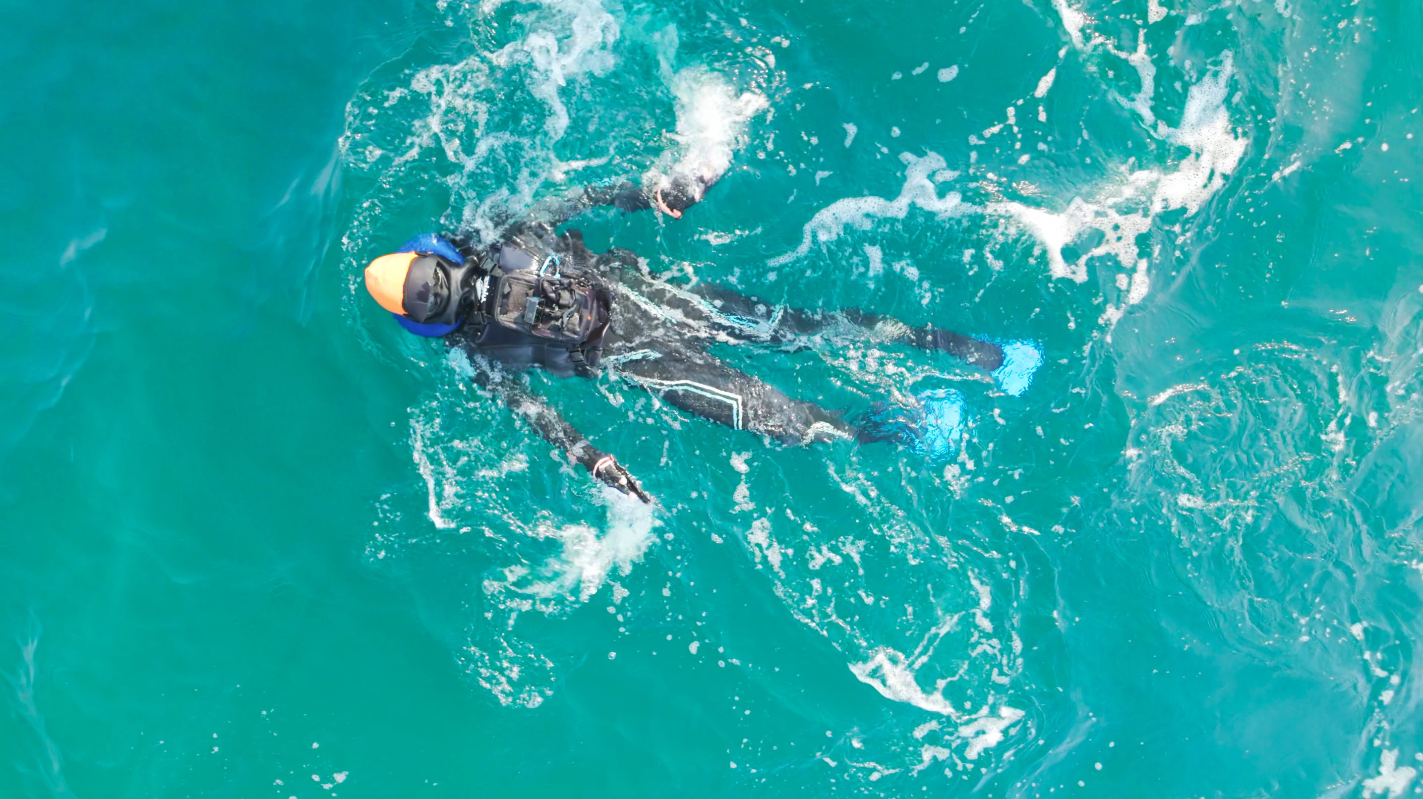 Aerial view of Karl swimming across the turquoise Caspian Sea, 2024